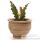 Vases-Modle Lipa Planter, surface marbre vieilli-bs3048ww